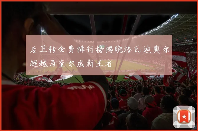 后卫转会费排行榜揭晓格瓦迪奥尔超越马奎尔成新王者